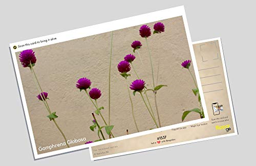 FlippAR 'Flowers of Bangalore - Lockdown Series' postcards with augmented reality feature - Set 2 (7 postcards)