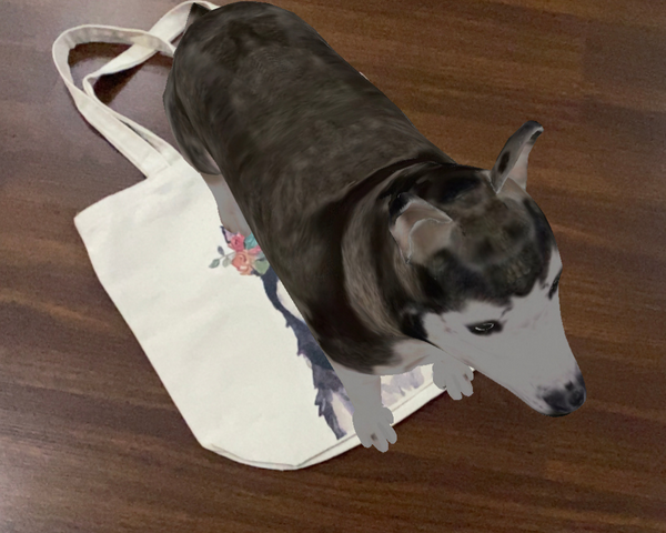 FlippAR Augmented Reality Tote Bag - Husky