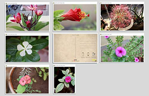 FlippAR 'Flowers of Bangalore - Lockdown Series' postcards with augmented reality feature - Set 1 (7 postcards)